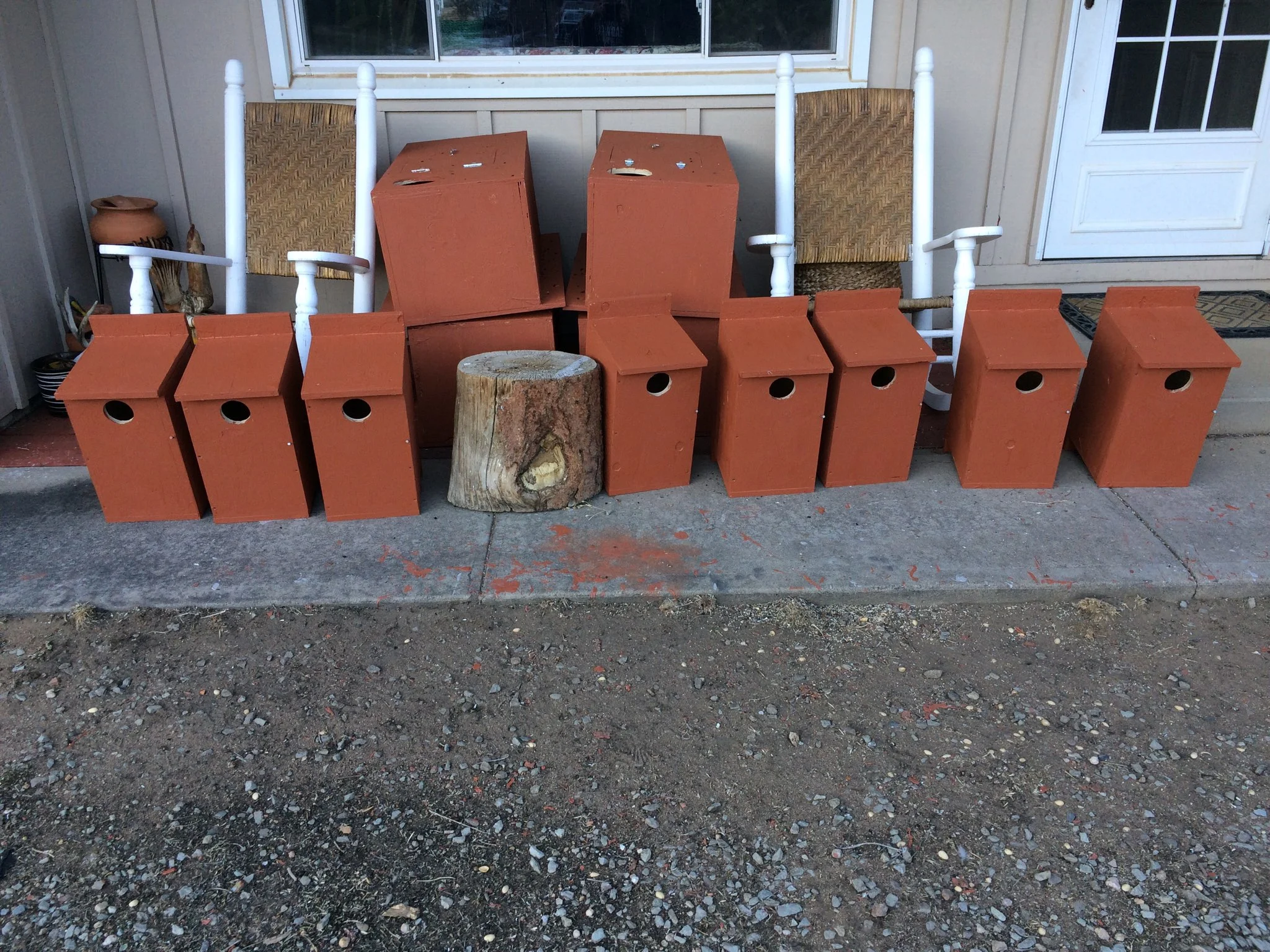 nest boxes.jpg