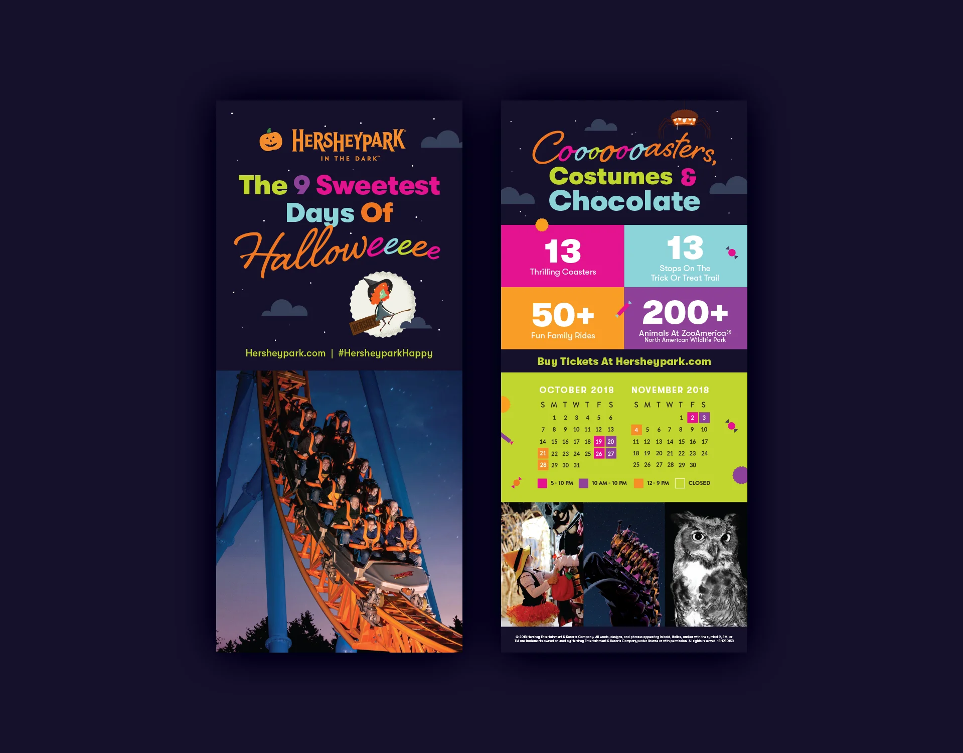 rack-card-design.jpg