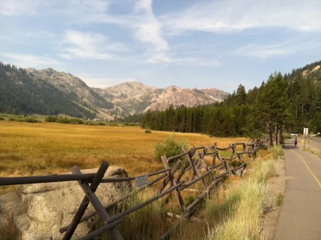 hillrunning_upperbody_ragnar2.jpg