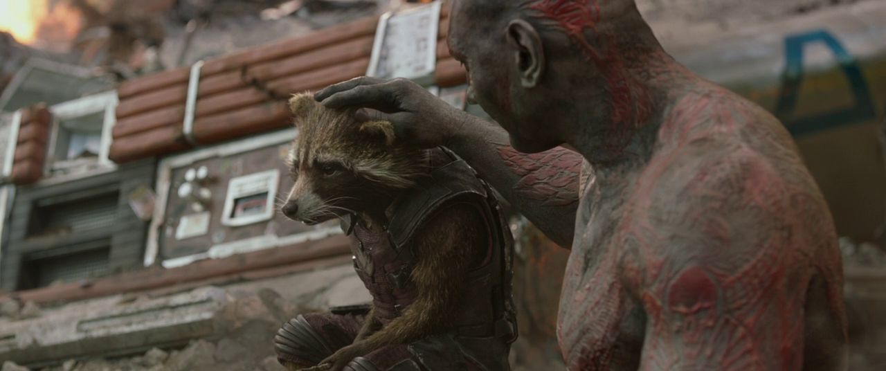 Best on screen moment between a raccoon and a wrestler.