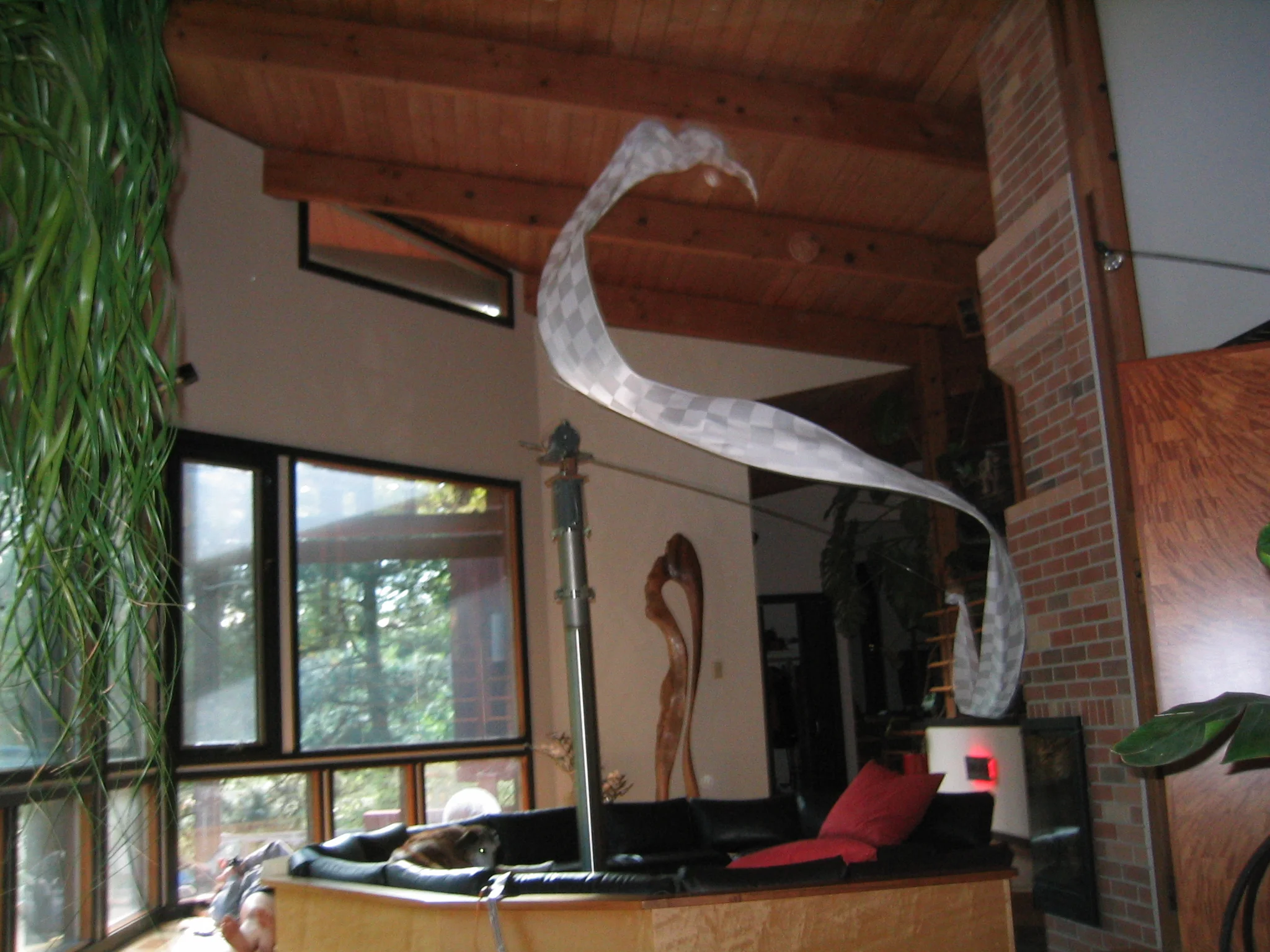 copy (1) of 176_7617.jpg