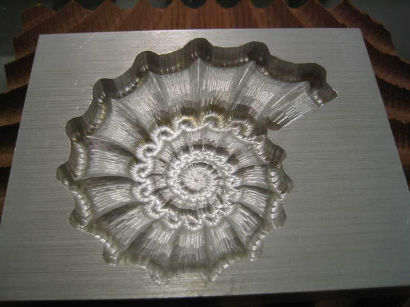 nautilus1_800.jpg