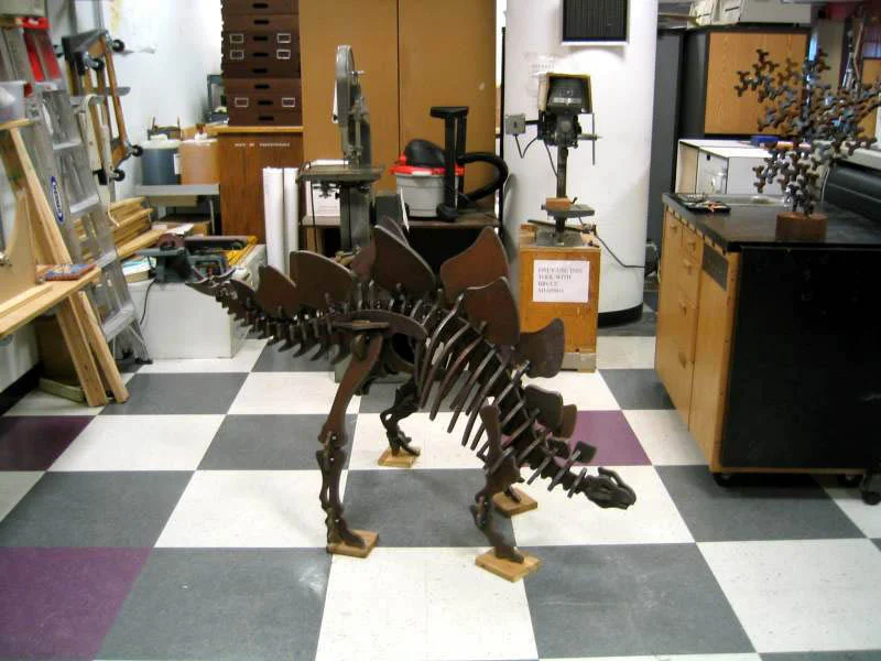 steginYSC0010_800.jpg
