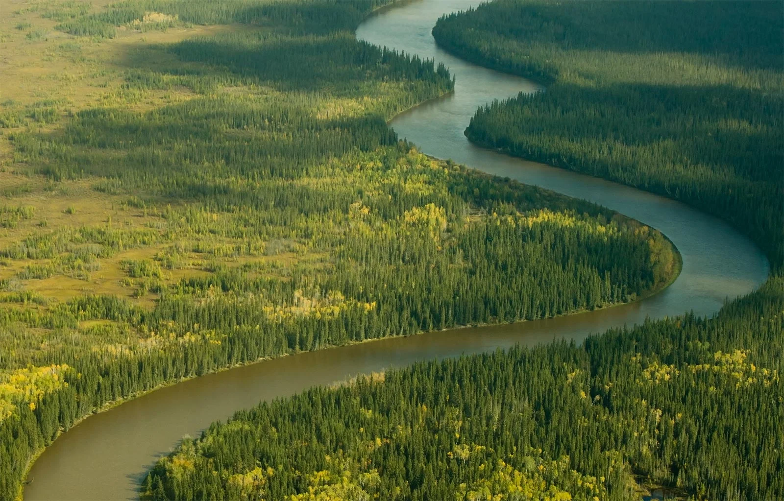 WOOD BUFFALO NATIONAL PARK PHOTO COURTESY PAUL ZIZSKA / ZIZKA.CA