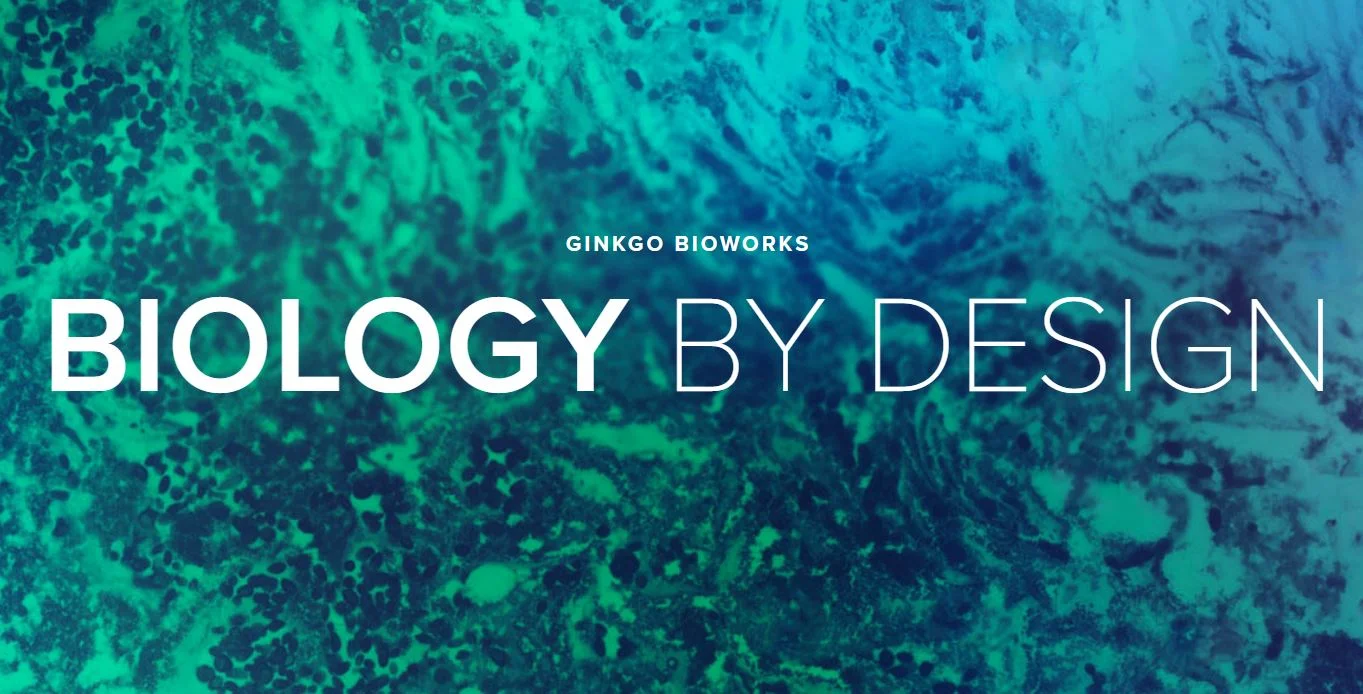 Ginkgo Bioworks Appoints Former Bayer CEO Marijn Dekkers as Chairman of its Board of Directors