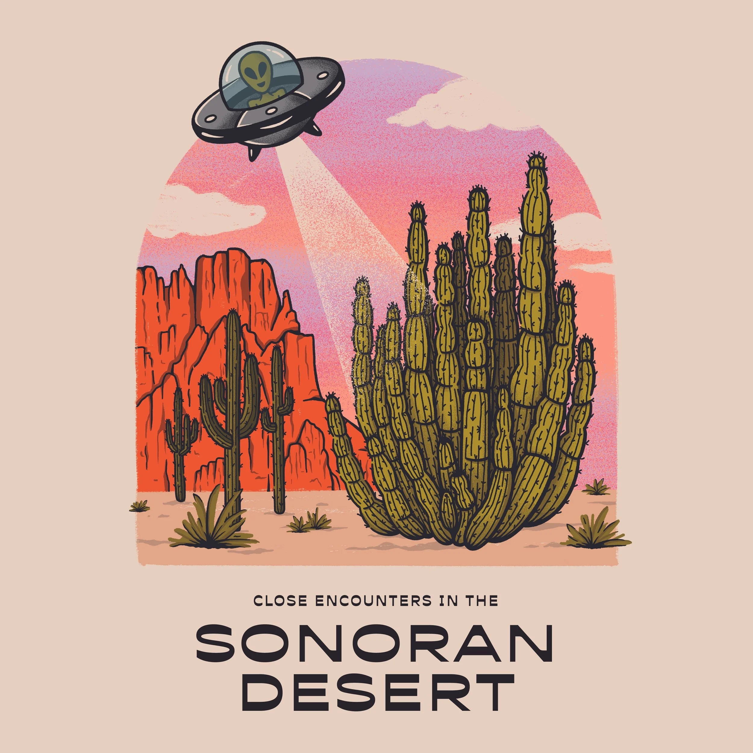 Close-Encounters_SonoranDesert_Sunset_Square.jpg