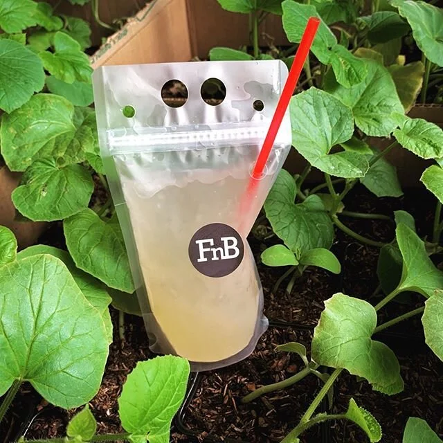 Fnb Scottsdale Dress Code Fotomuslik