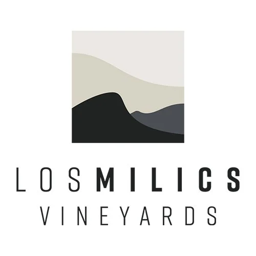 Local Winemaker Dindin - Los Milics Vineyards - June 12th
