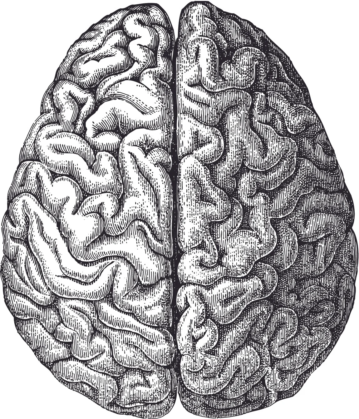 shutterstock_100336682.jpg