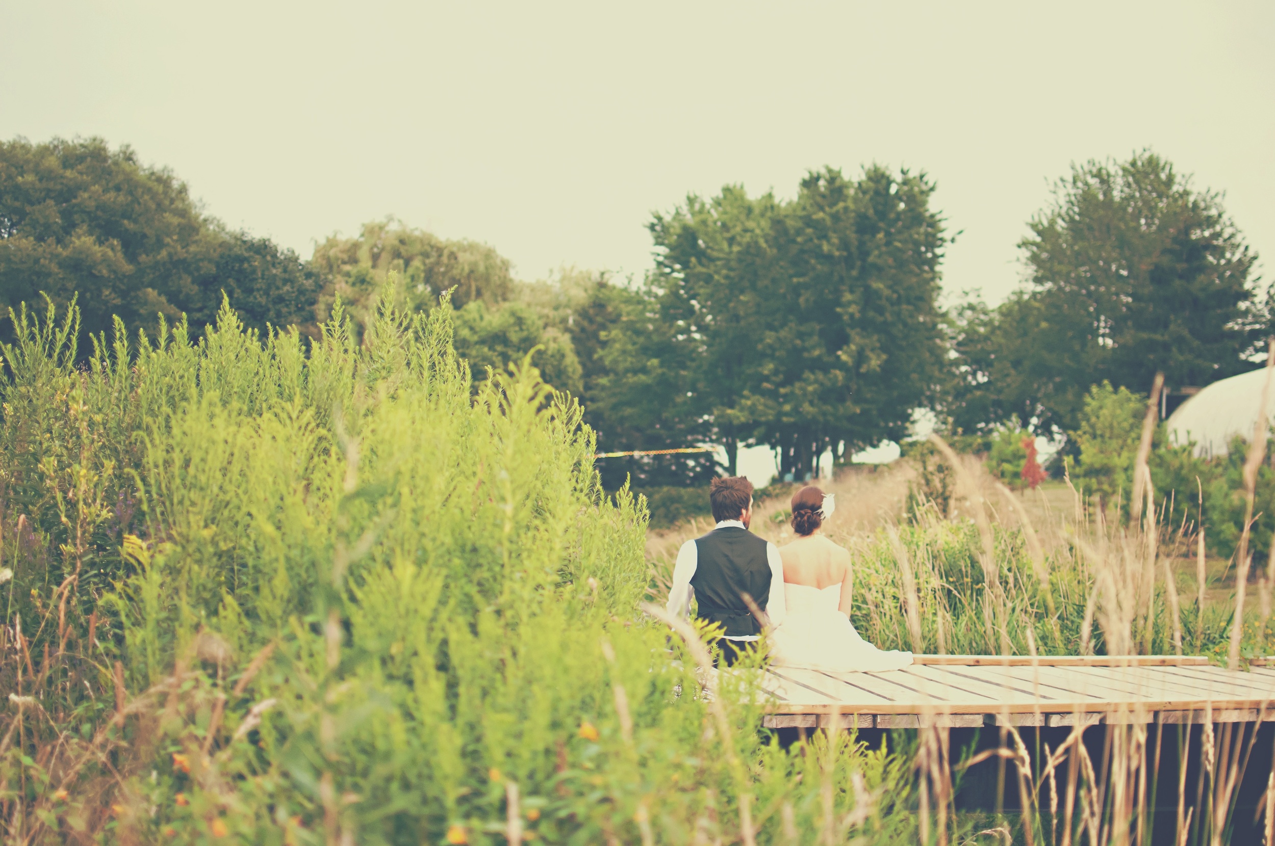 Schedule a consultation for premarital counseling. 