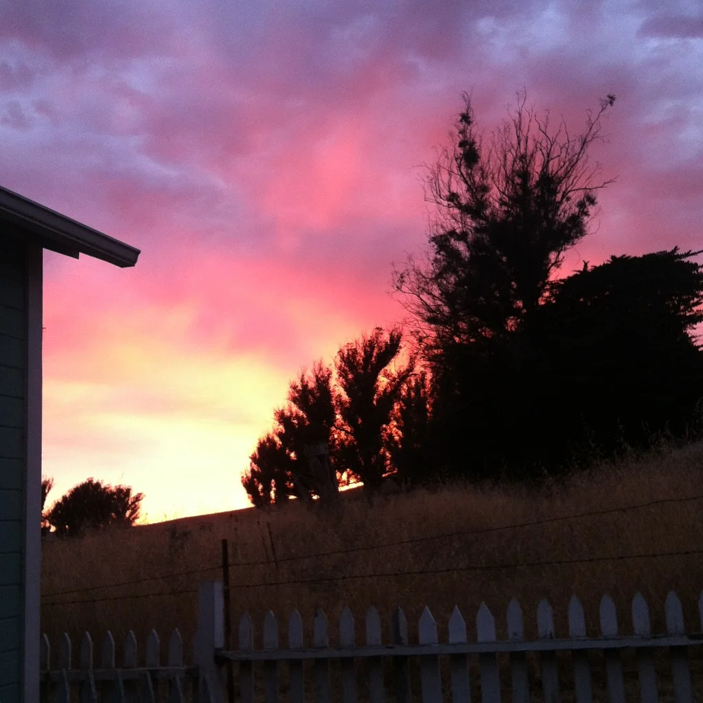 Sunset over the back pasture before the thunder + rain