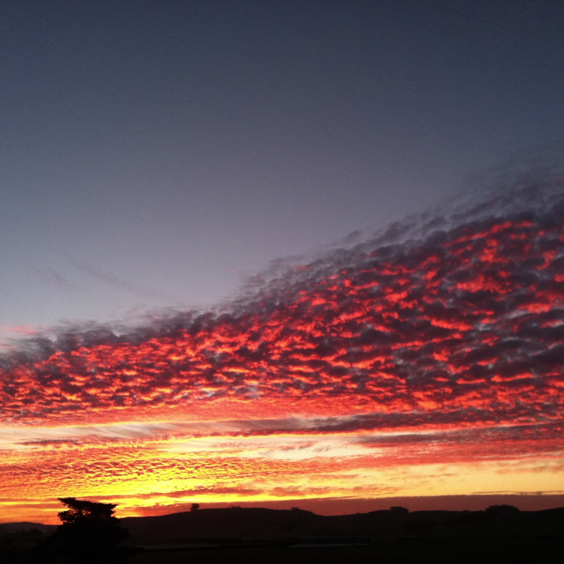 An Arizona desert at sunset (November 2015)