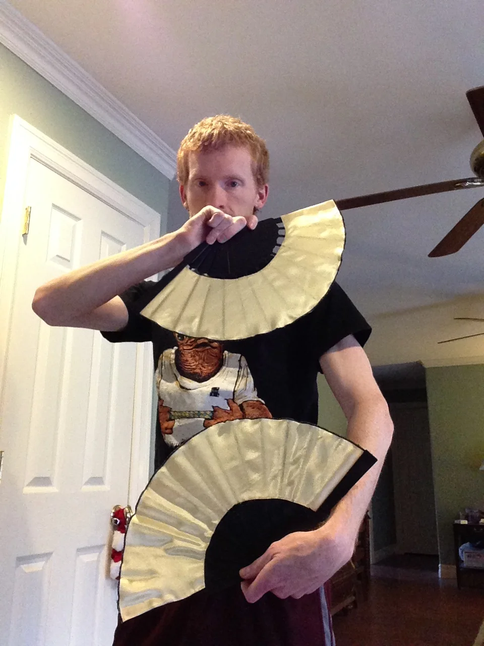 These used to be black fans, and now they're pretty gold ones! I never want to have to do that again because for as simple as it looks, they're a pain in the ass.