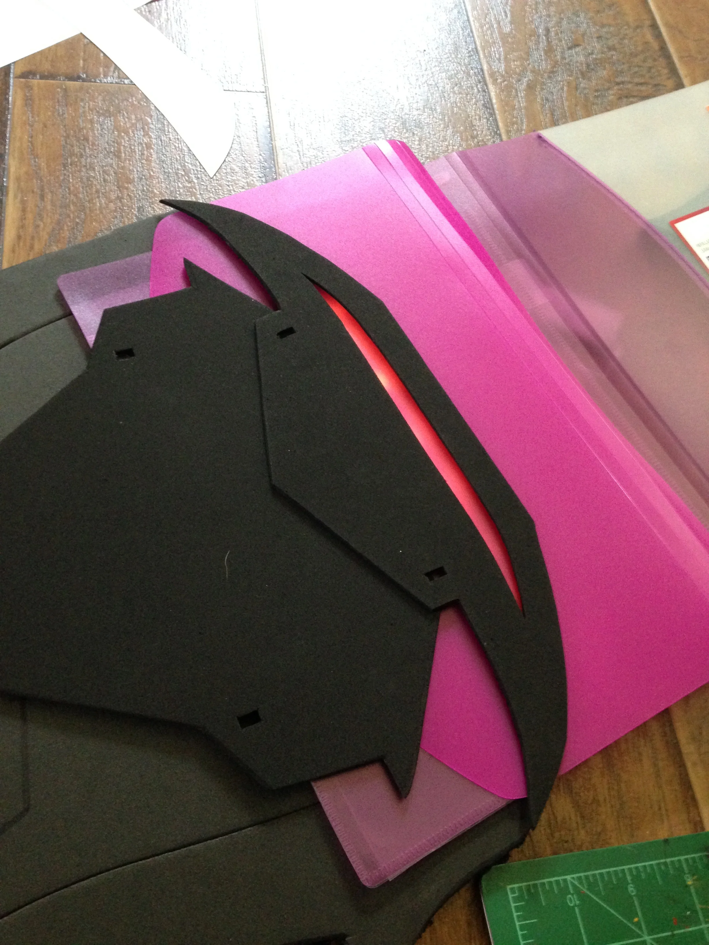 You can see the pink plastic folder here.