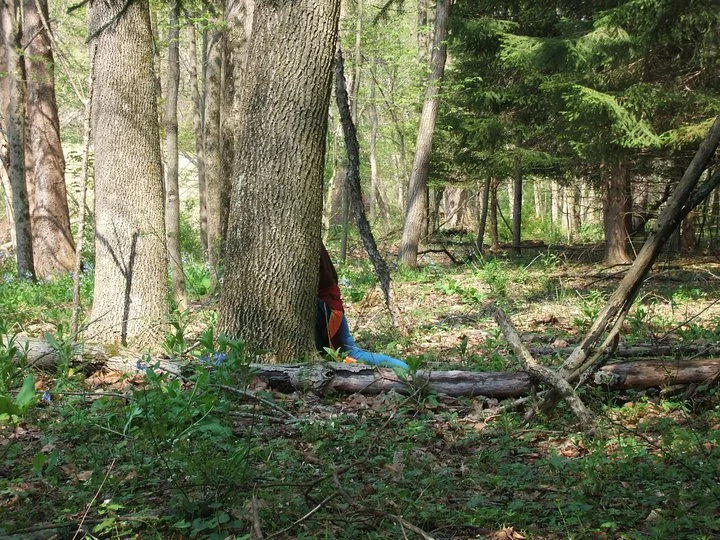 Bright blue and orange don't exactly make the best camoflauge...
