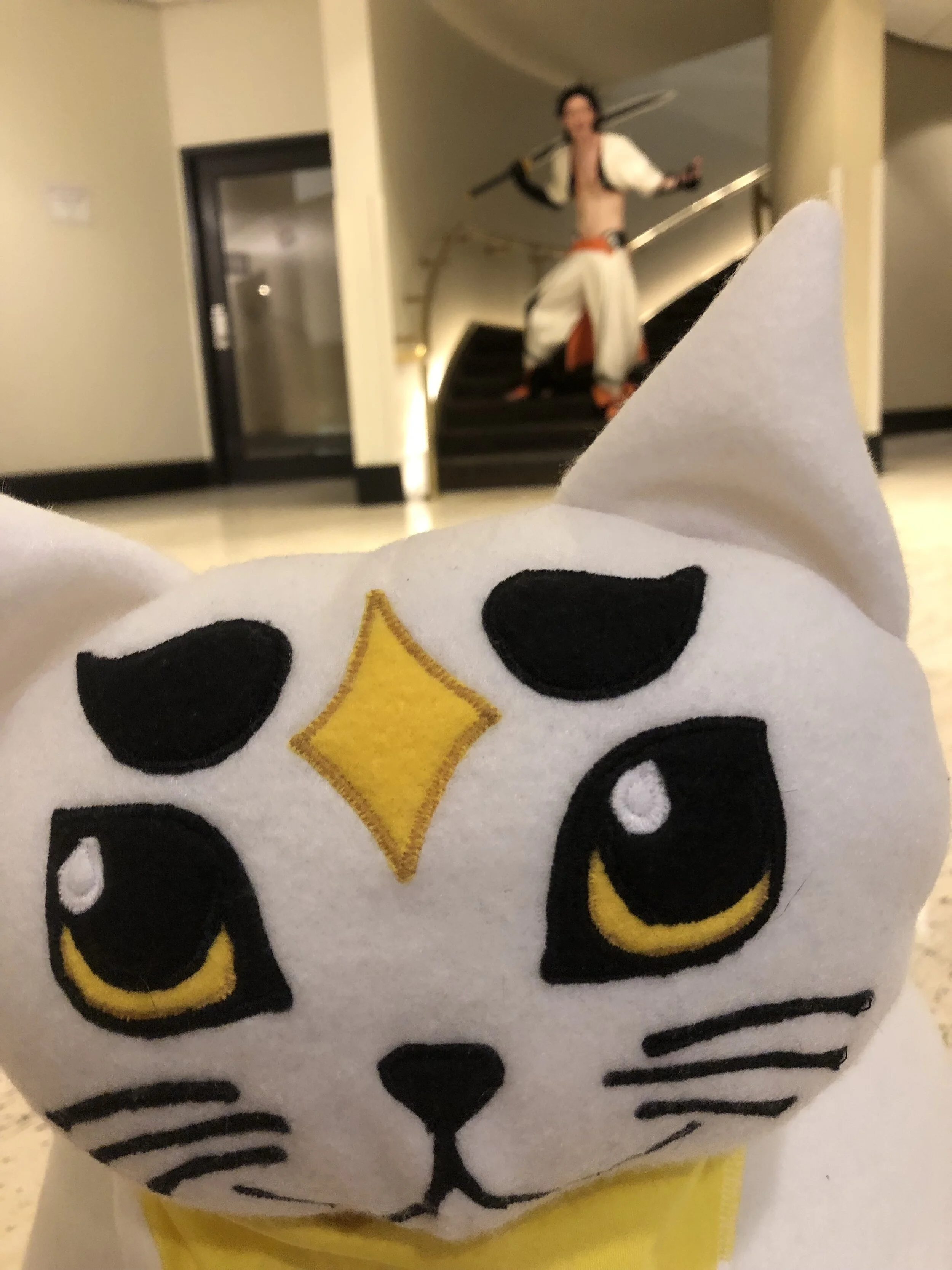 Cat Doing Cat Things