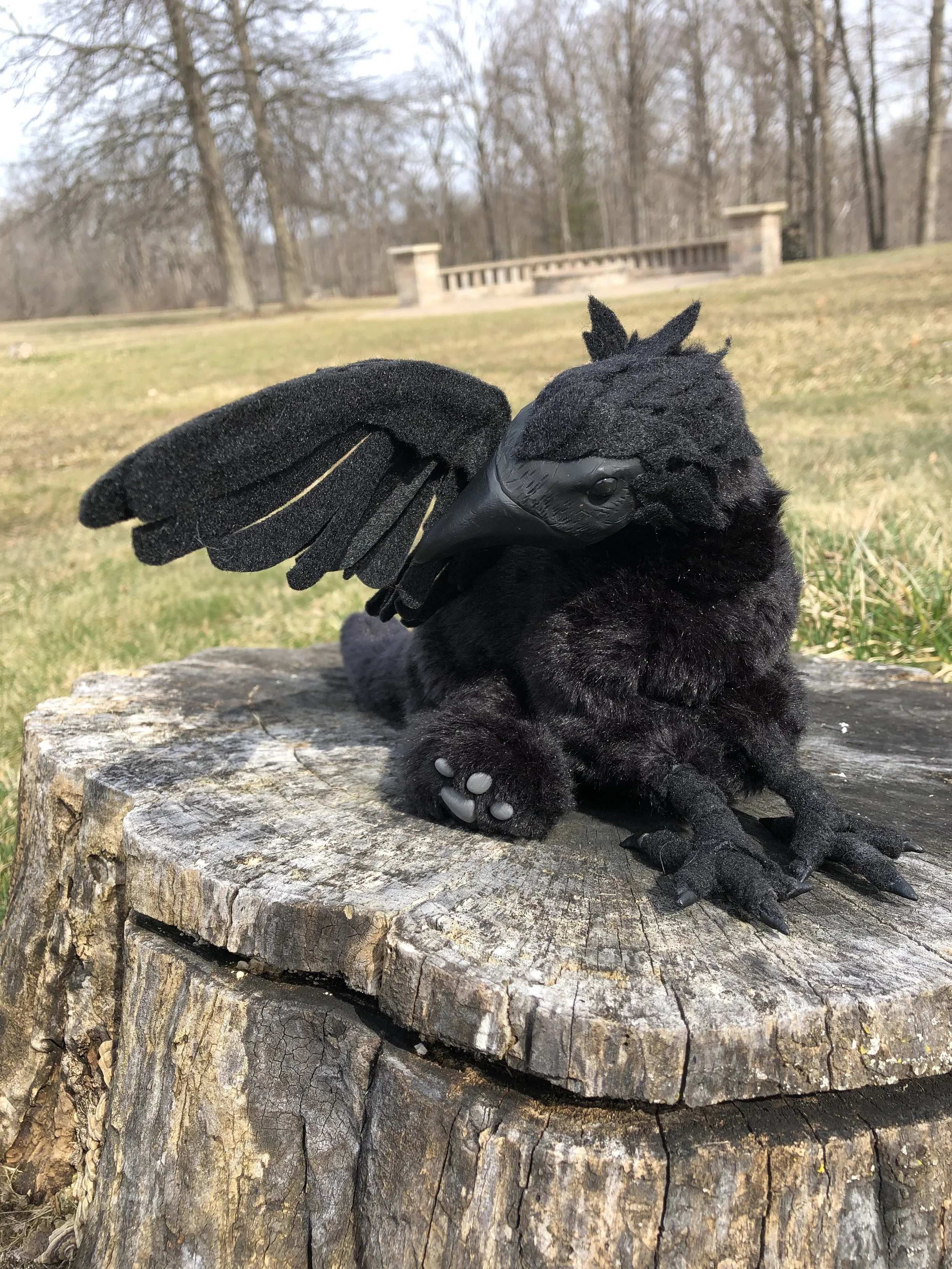 Black Griffin