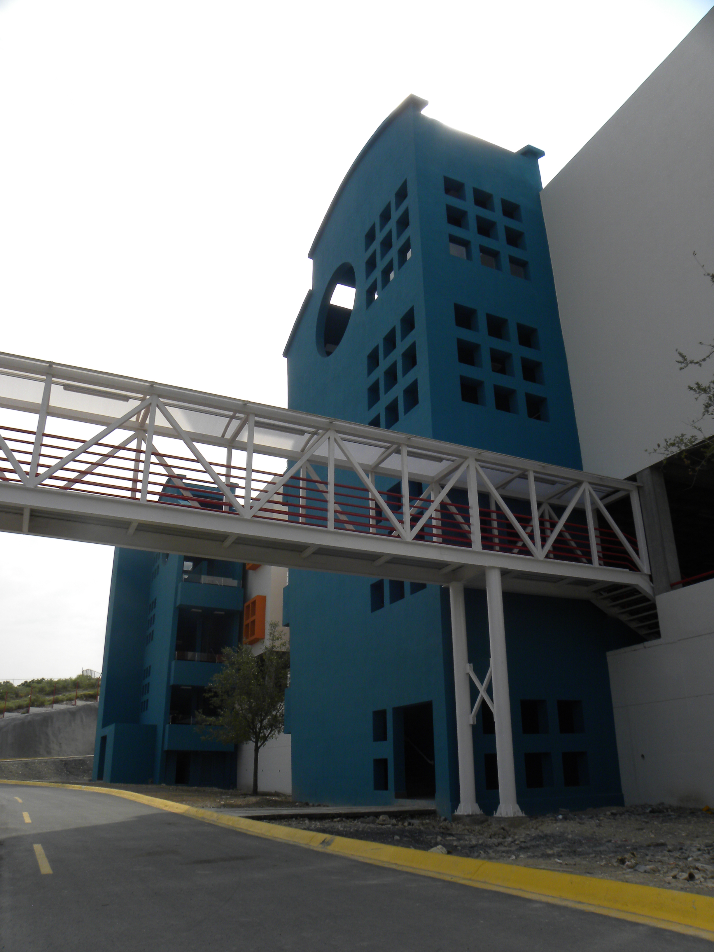 DSCN8251.JPG