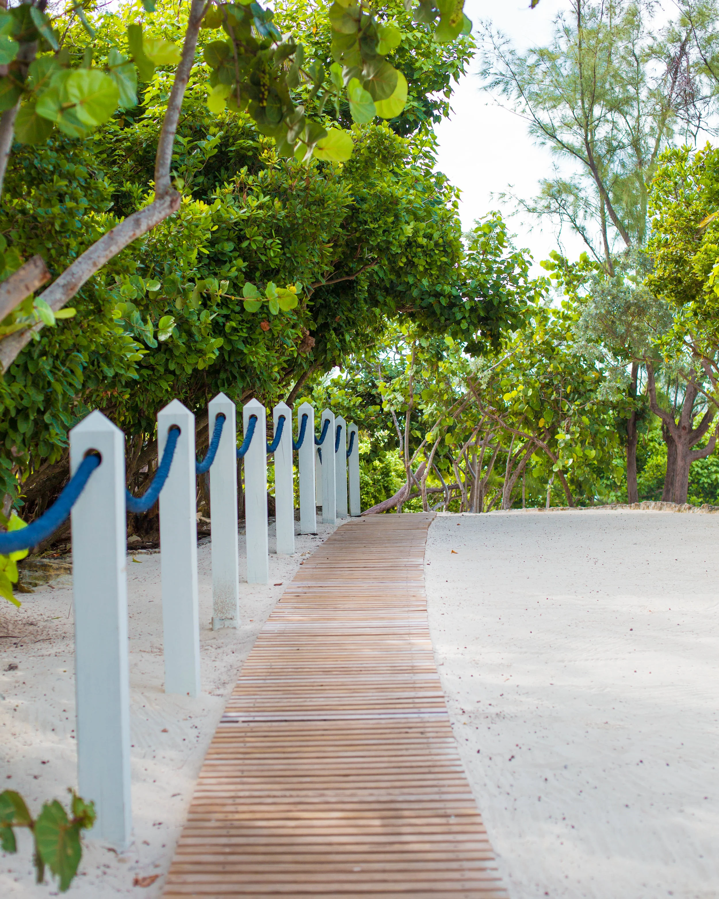 Long Cay Walkway2.jpg