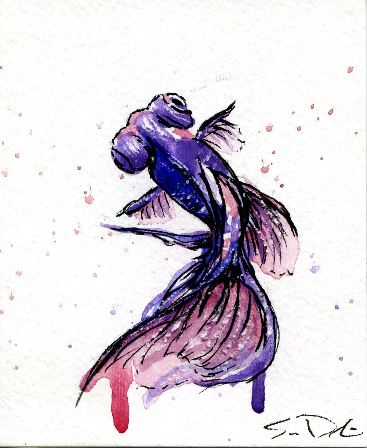 Goldfish paintings