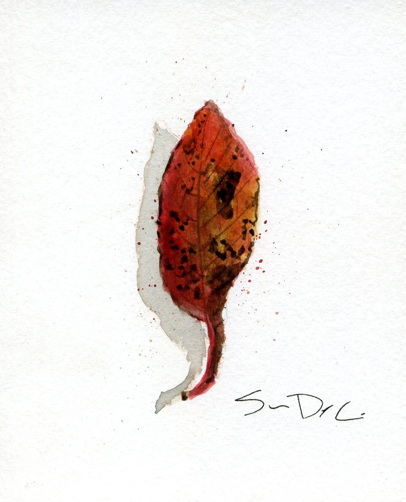 Tupelo Leaf Portrait 025