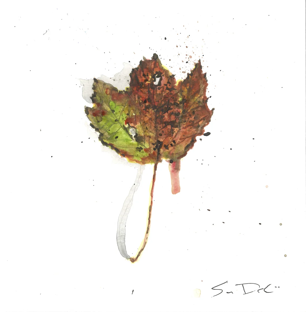 Red Maple Leaf Portrait 045