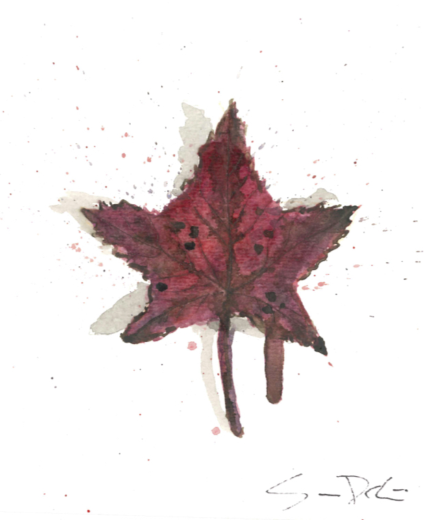 Sweet Gum Leaf Portrait 059