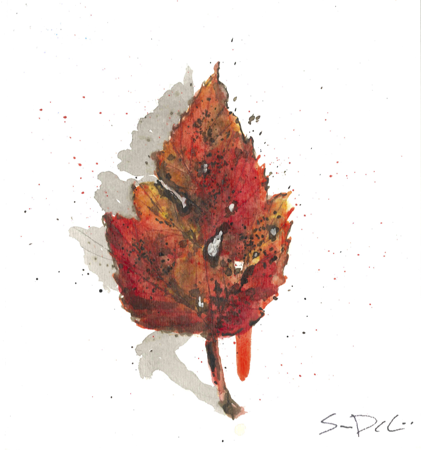 Maple Leaf Portrait 062