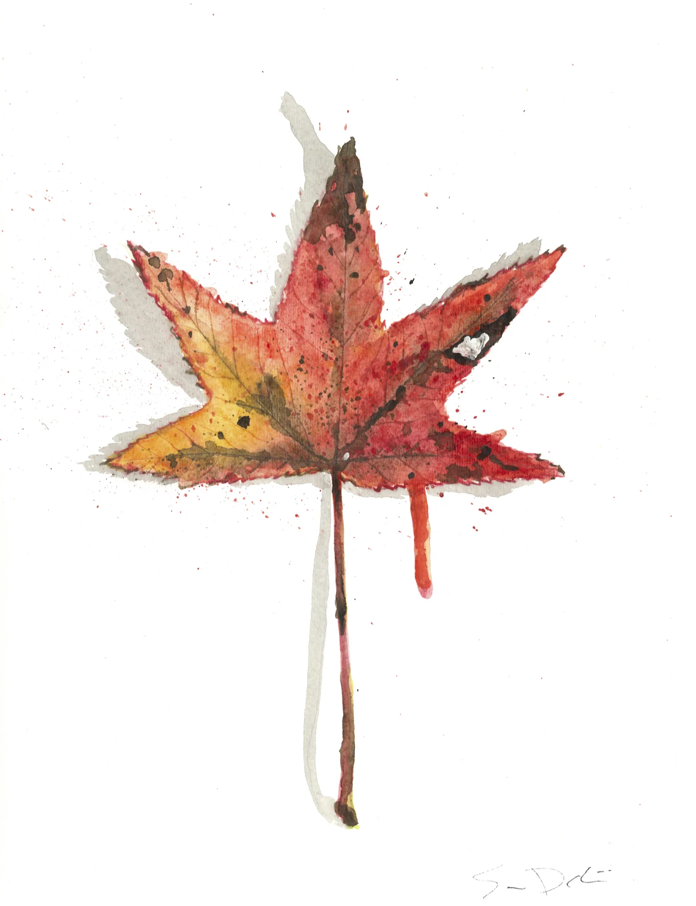 Sweet Gum Leaf Portrait 064