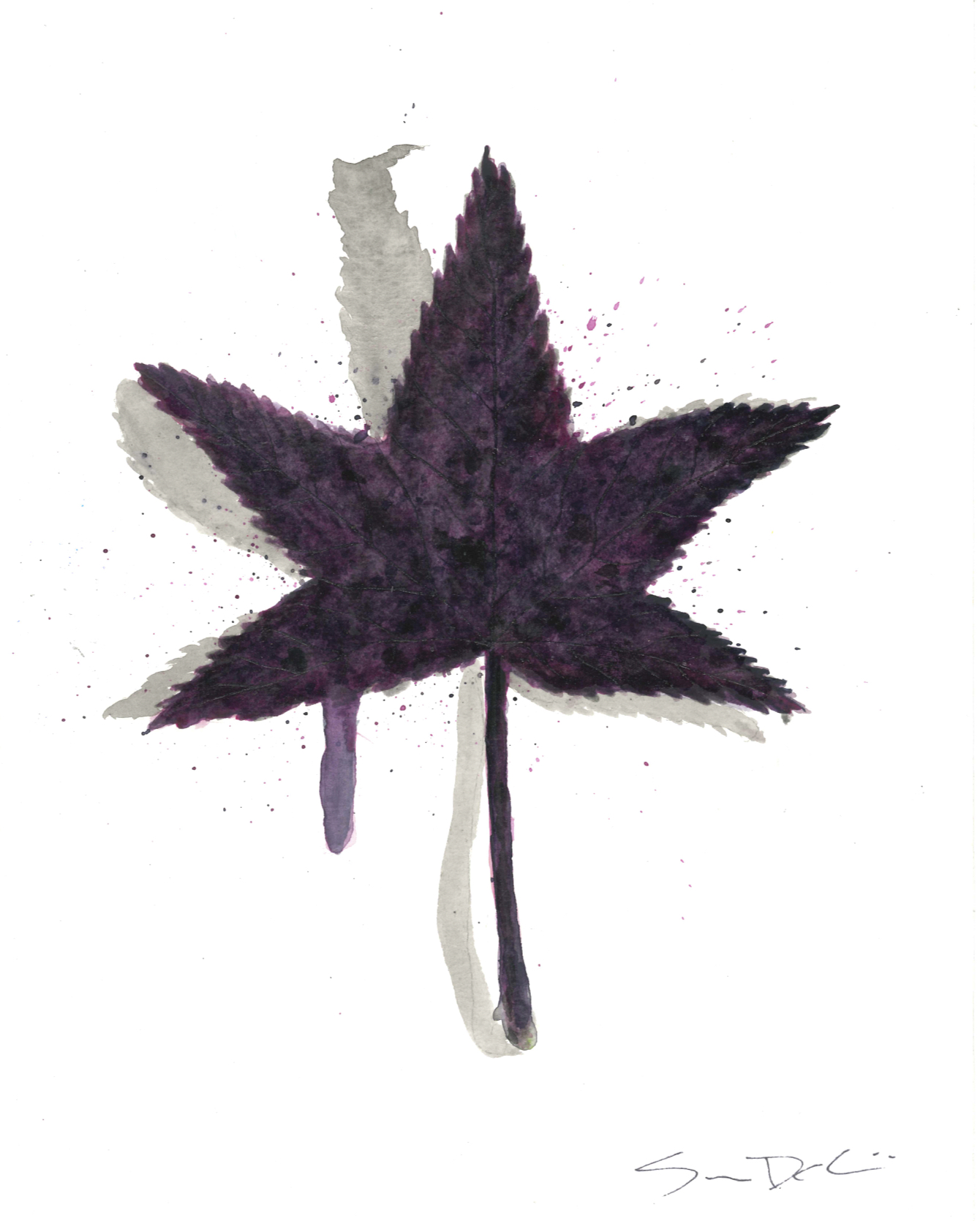 Sweet Gum Leaf Portrait 065