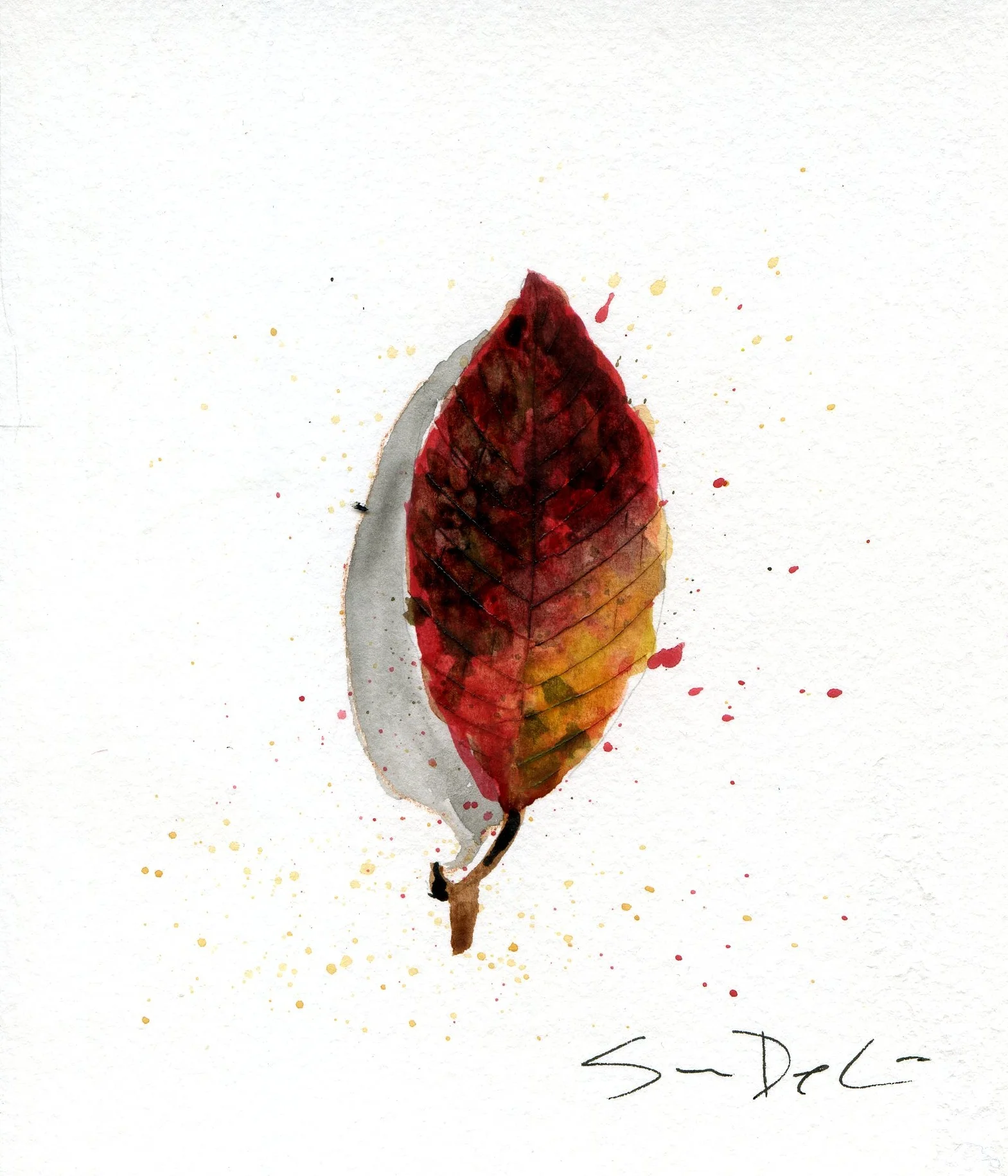 Leaf 015.jpg