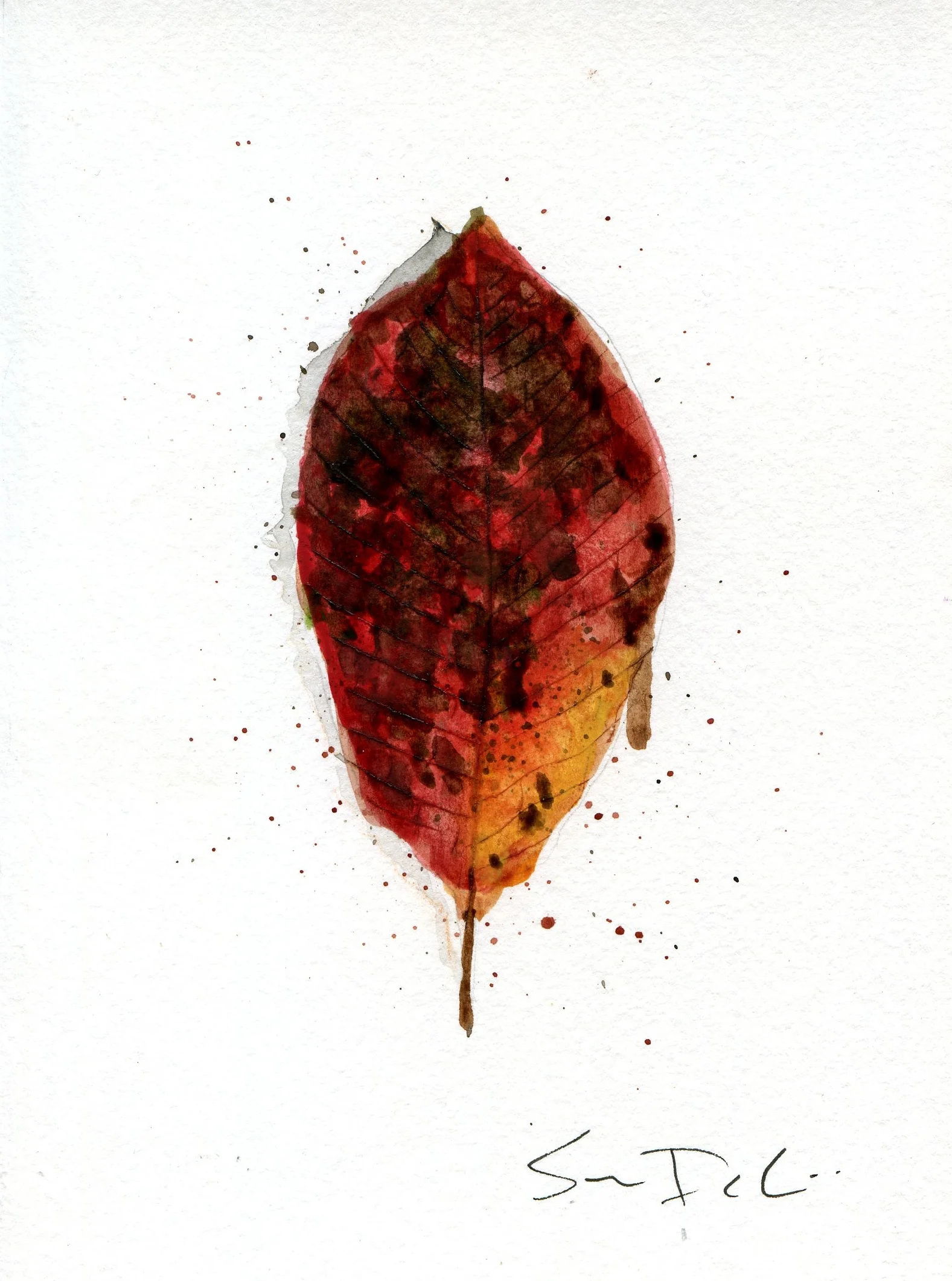 Tupelo Leaf Portrait 014 - SOLD