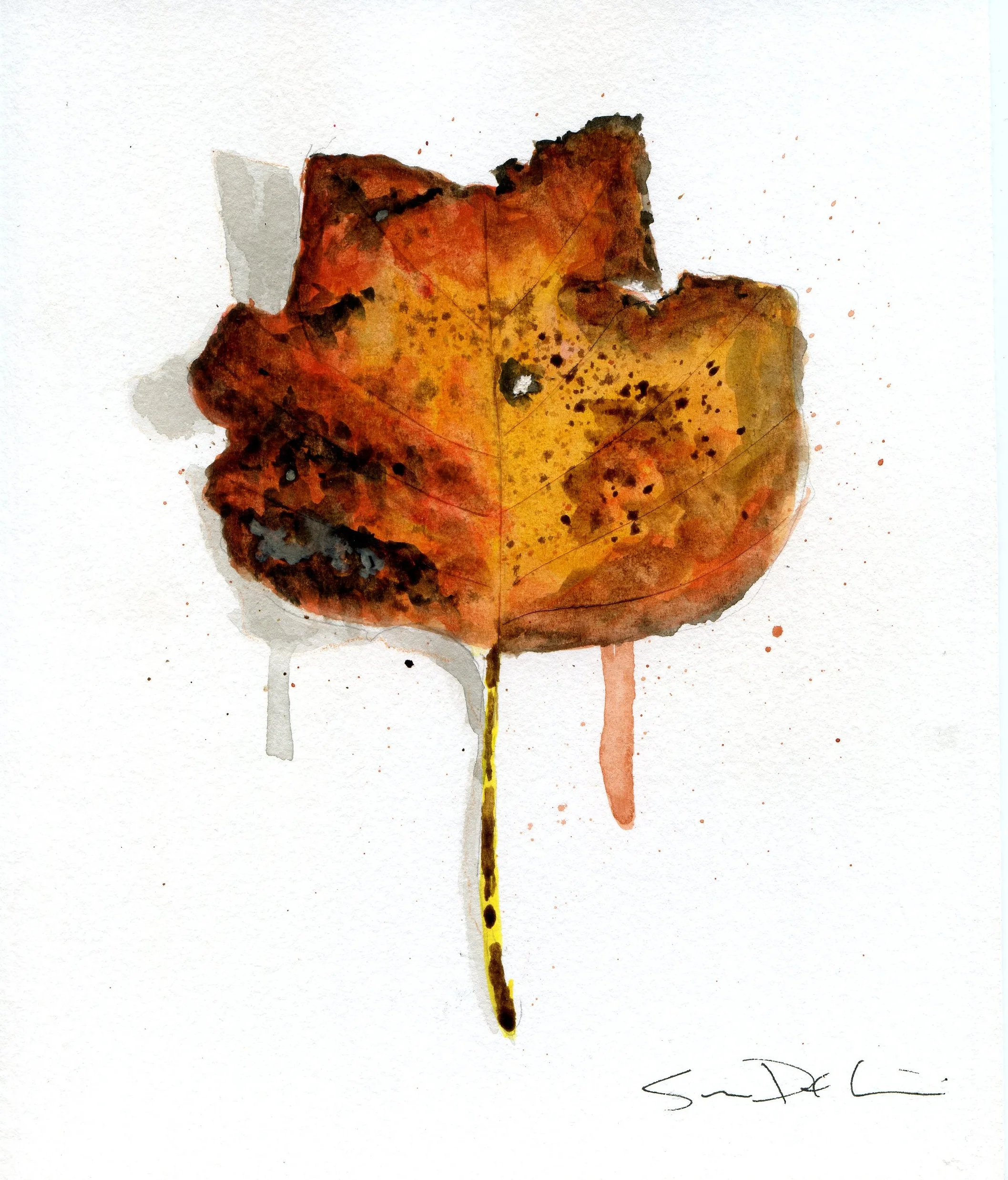 Leaf 024.jpg