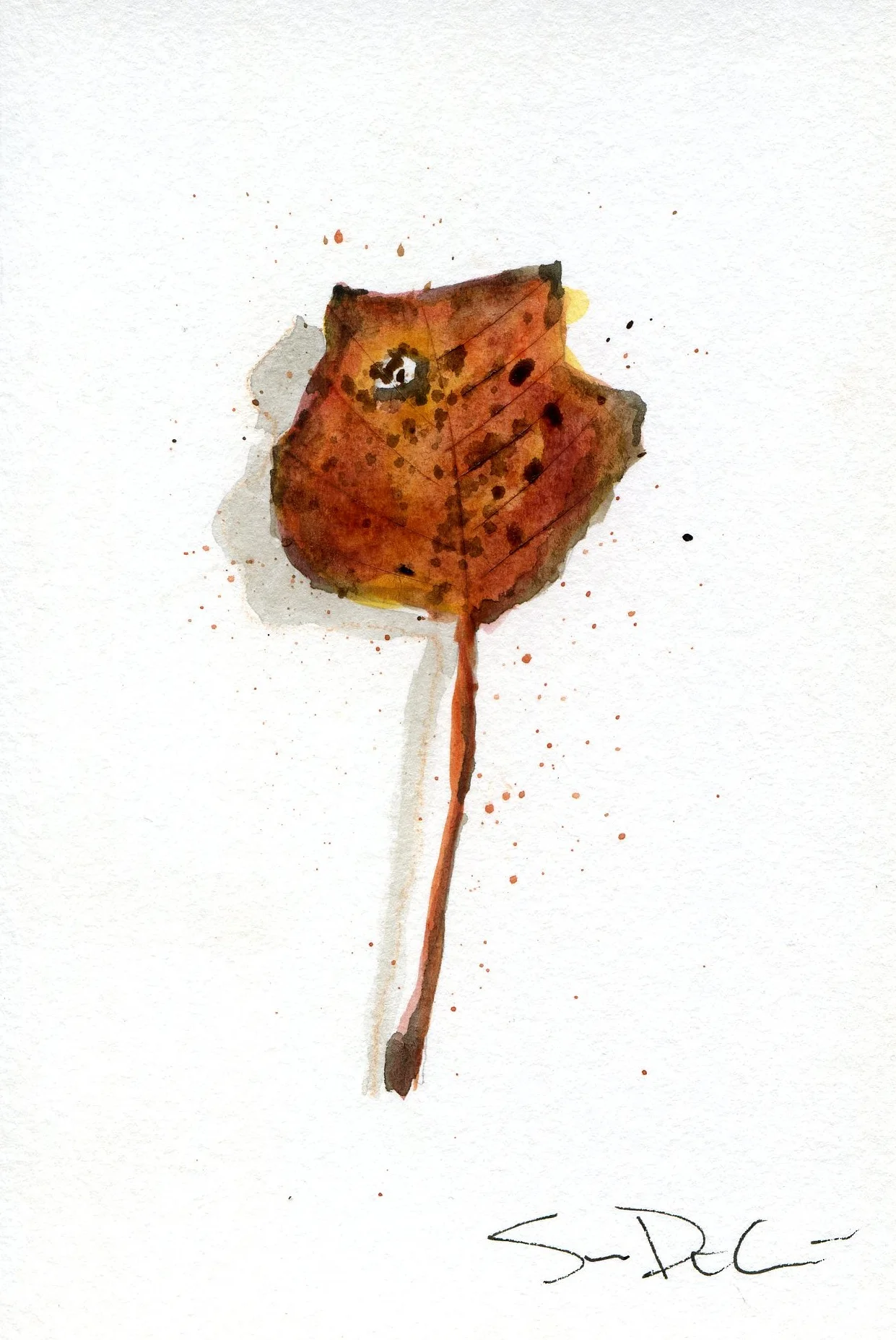 Leaf 027.jpg