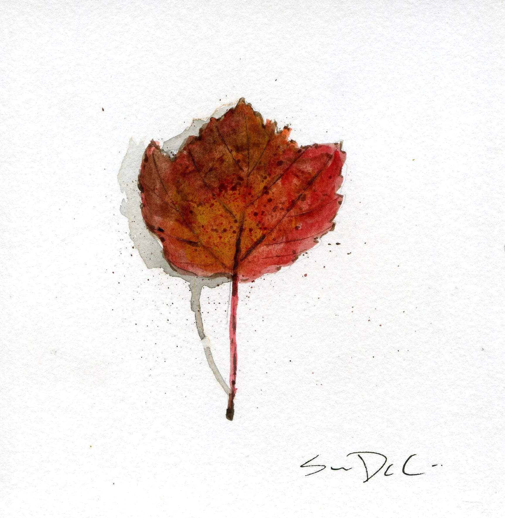 Leaf 026.jpg