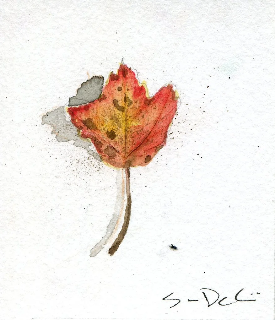 Leaf 031.jpg