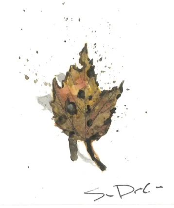 Leaf 039.jpg