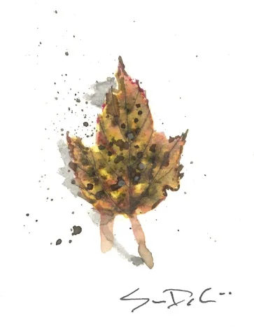 Leaf 40.jpg