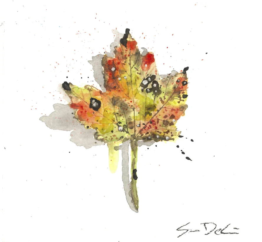 Leaf 060.jpeg