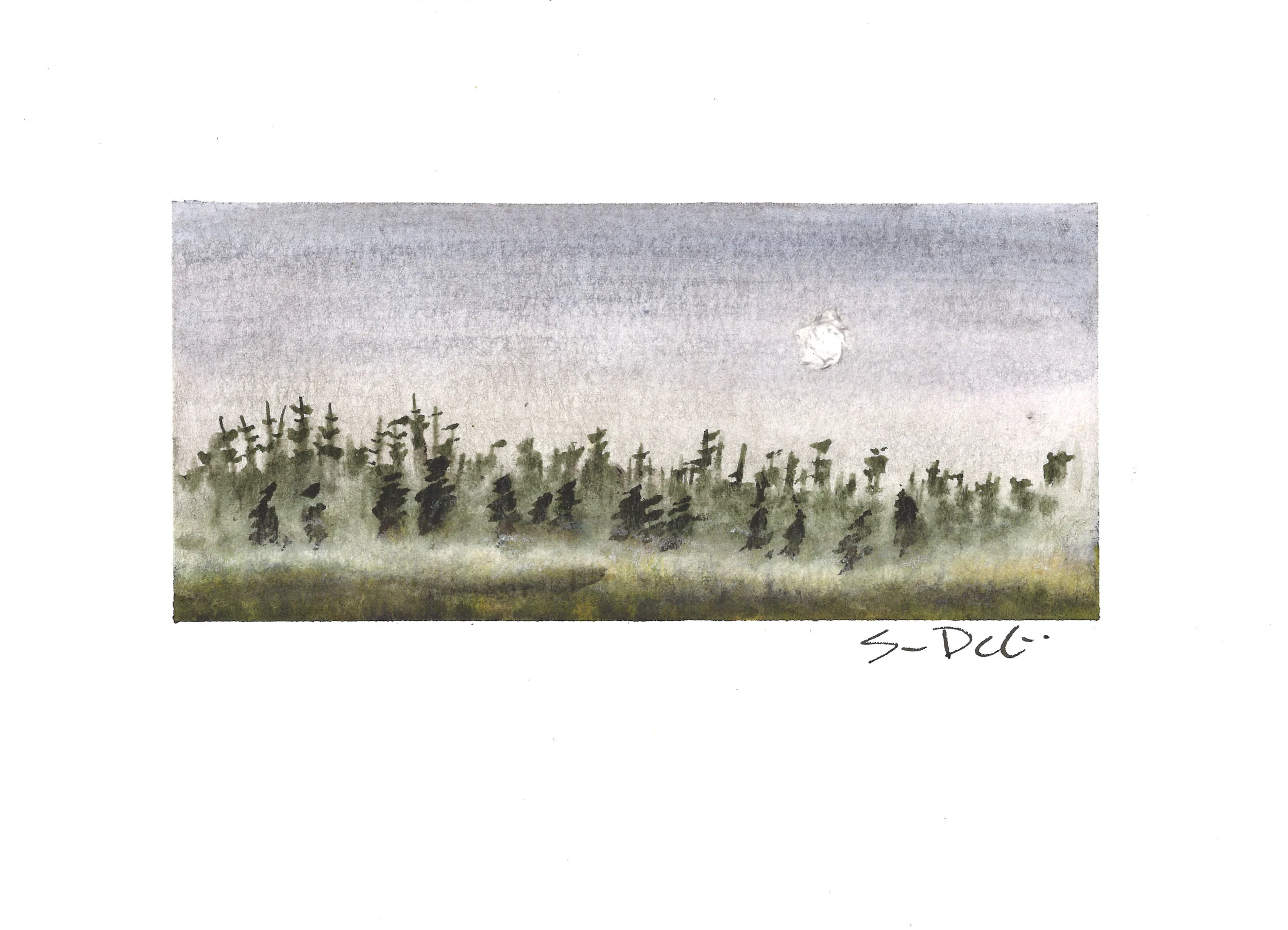 midmorning fog - SOLD