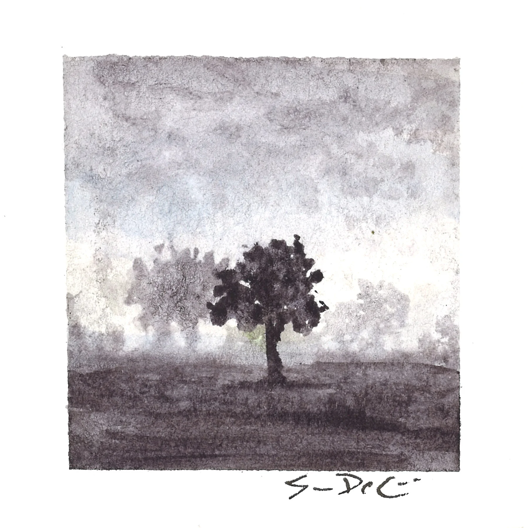 shadows in the fog II