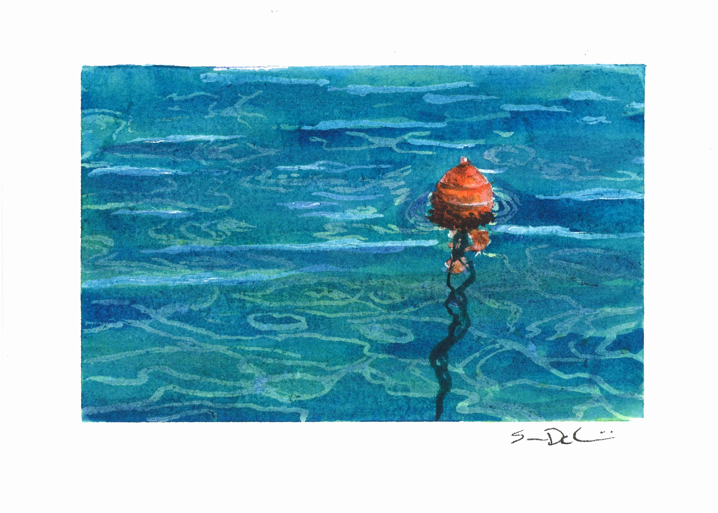orange bouy