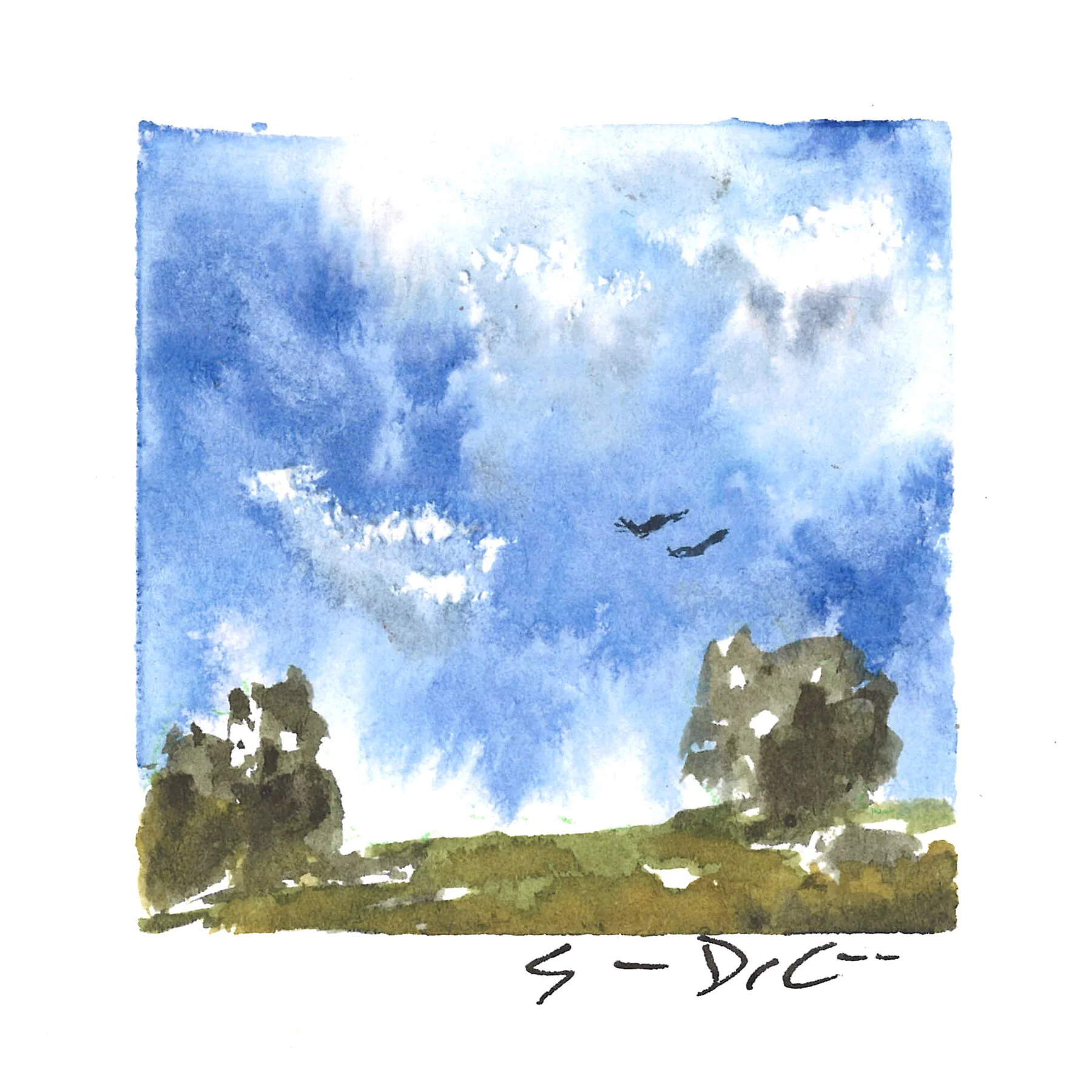 soaring over the fields.jpg