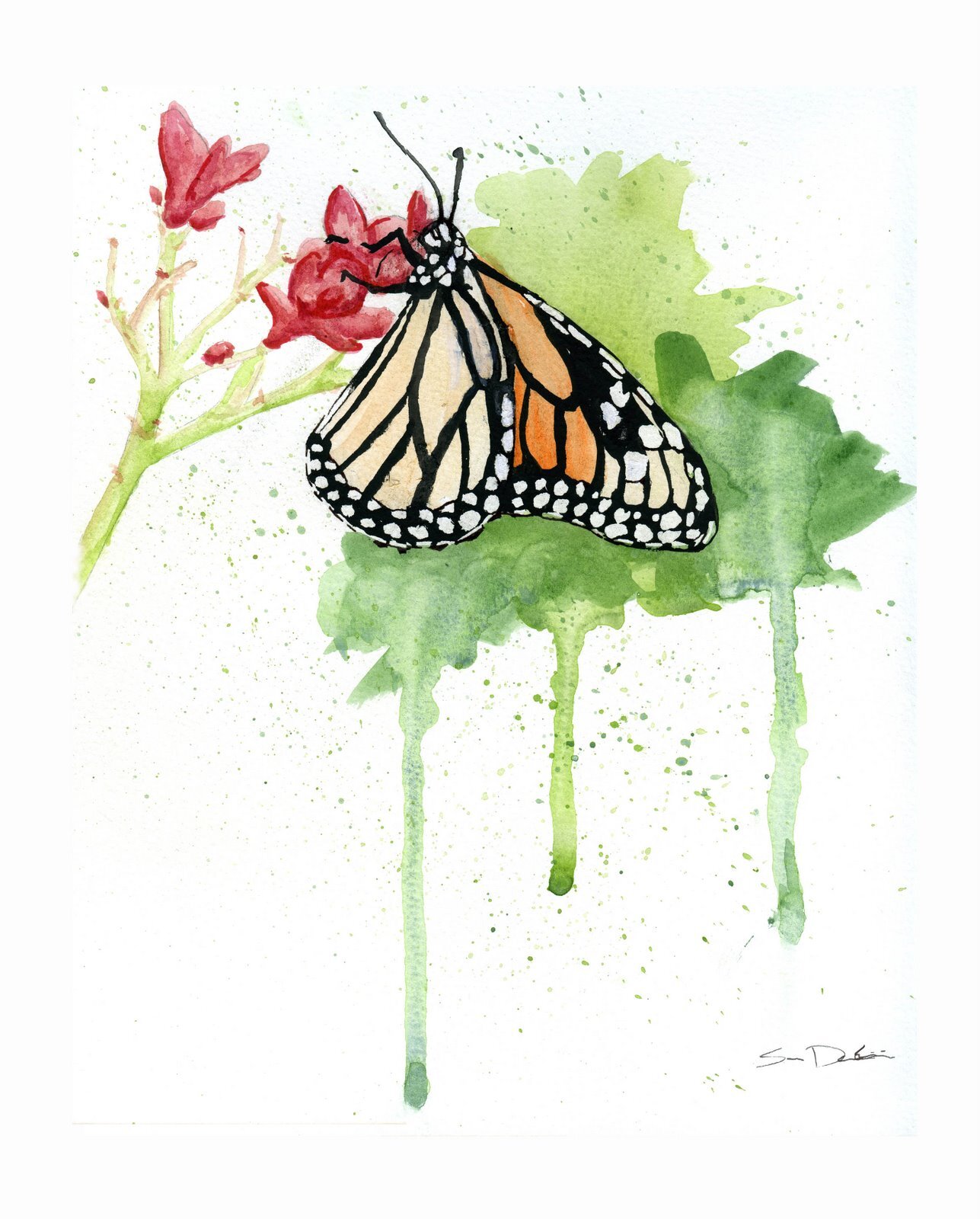 butterfly watercolor.jpg
