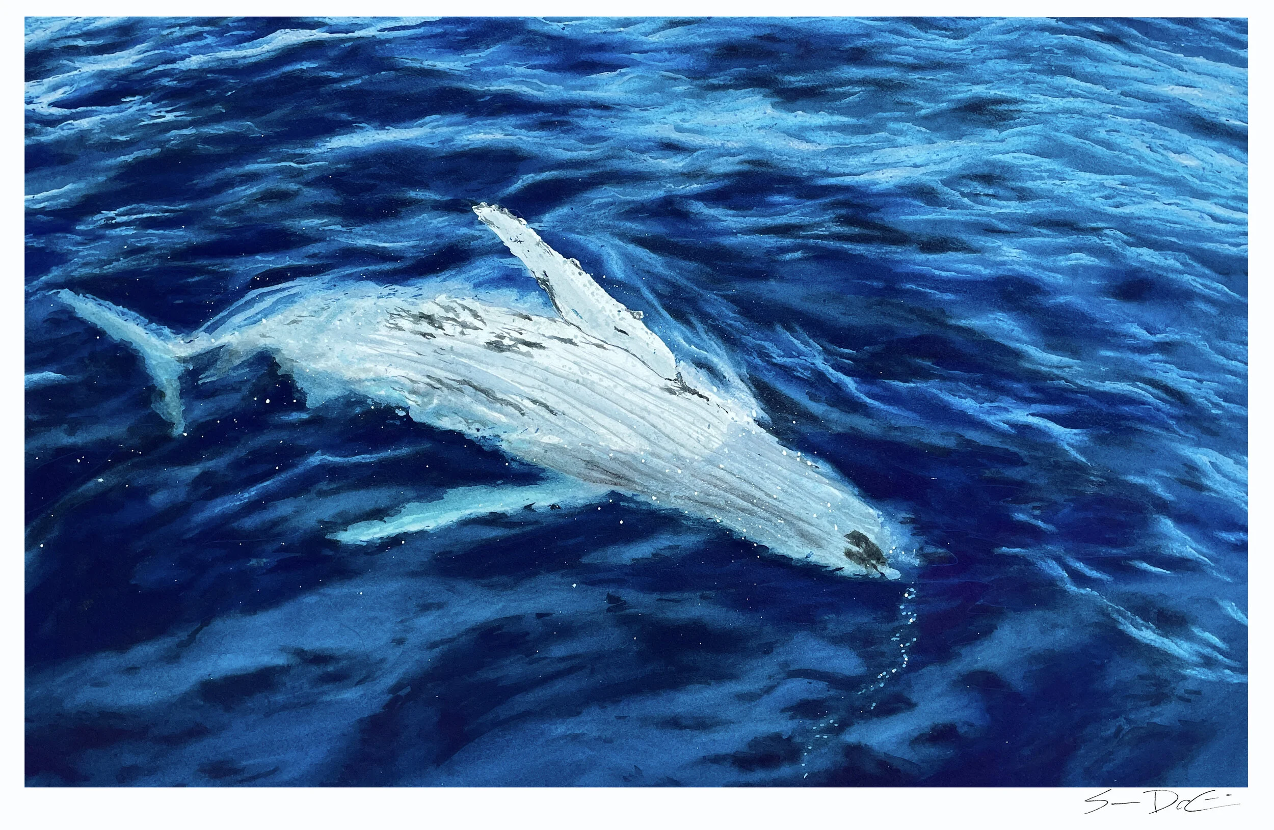 Waterscapes Gallery