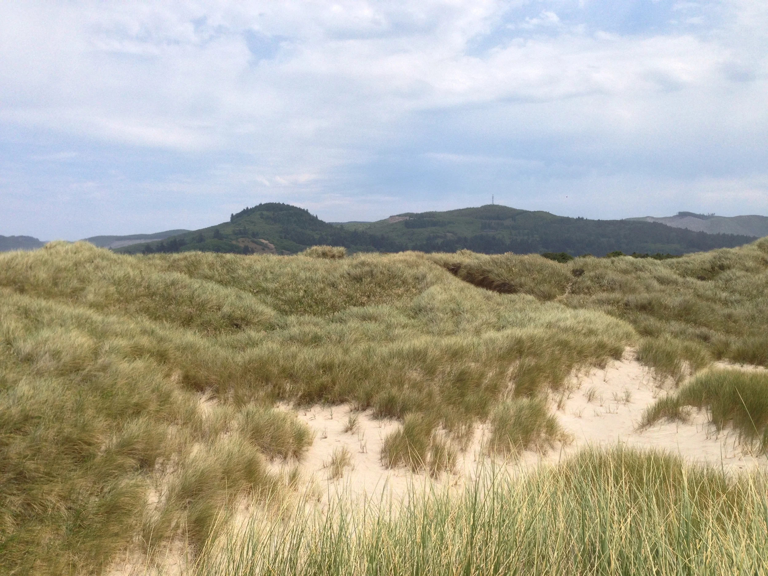 Nehalem Bay State Park