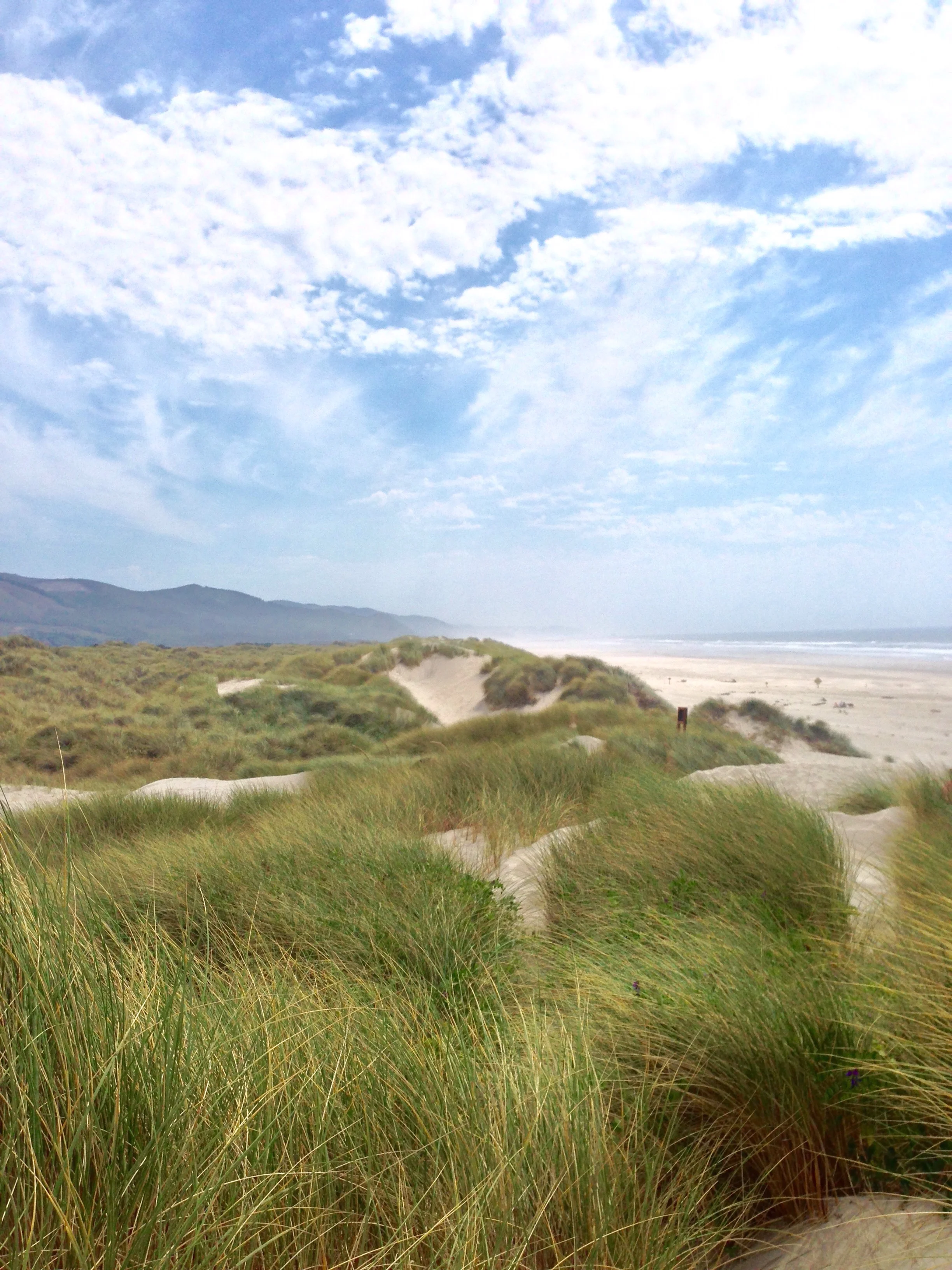 Dunes + Sea