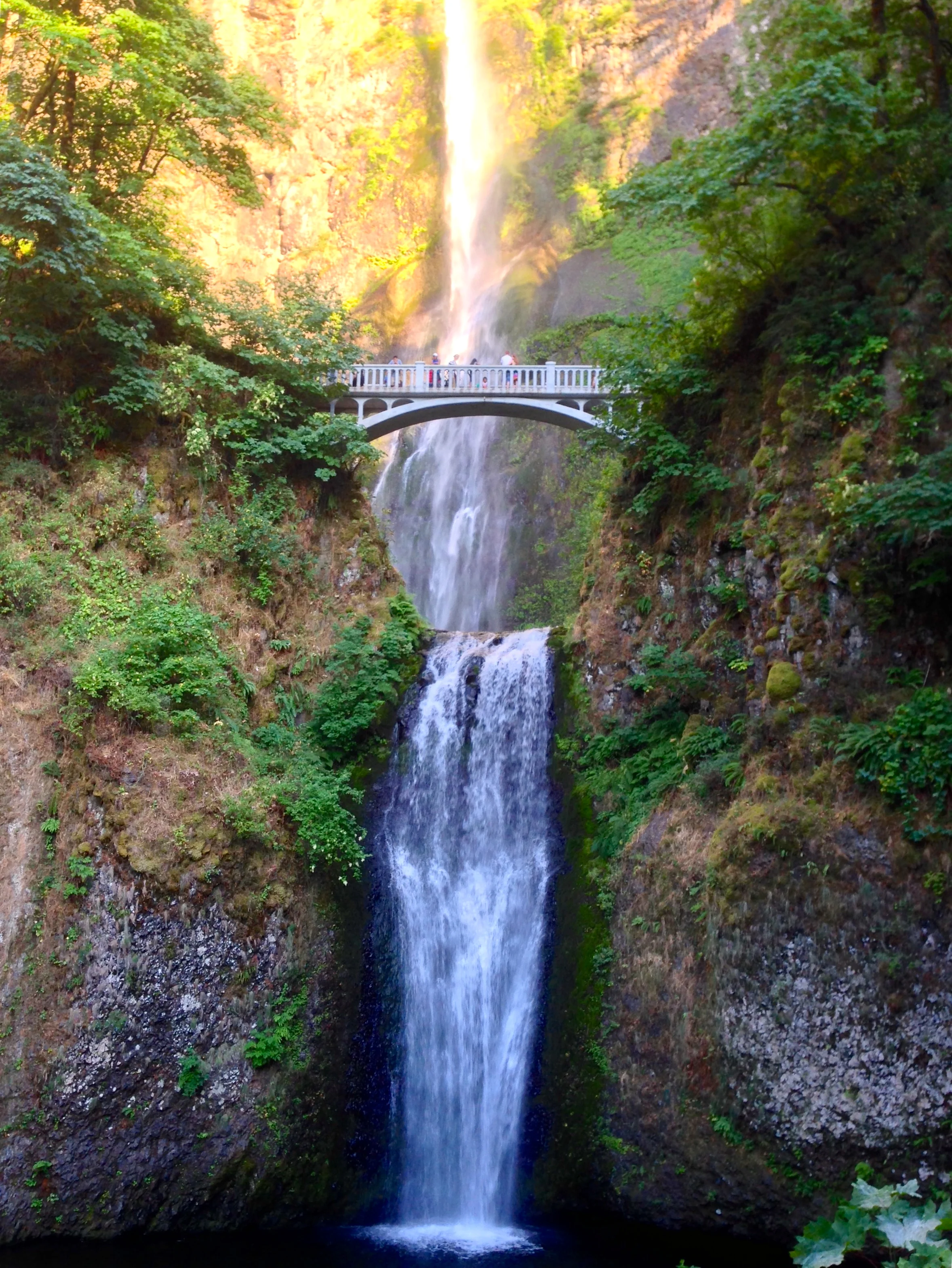 Majestic Multnomah Falls