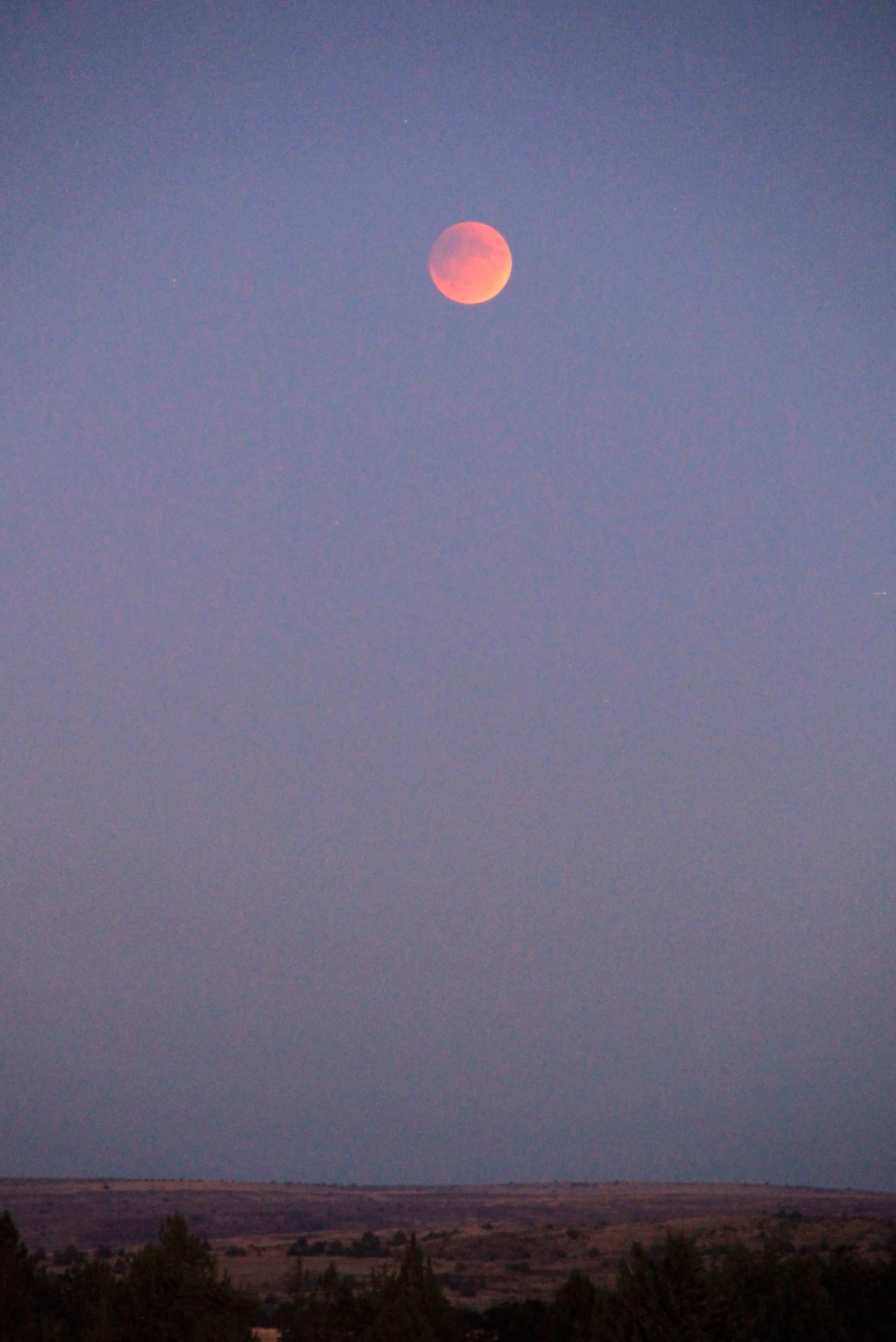 The Blood Moon in all her glory