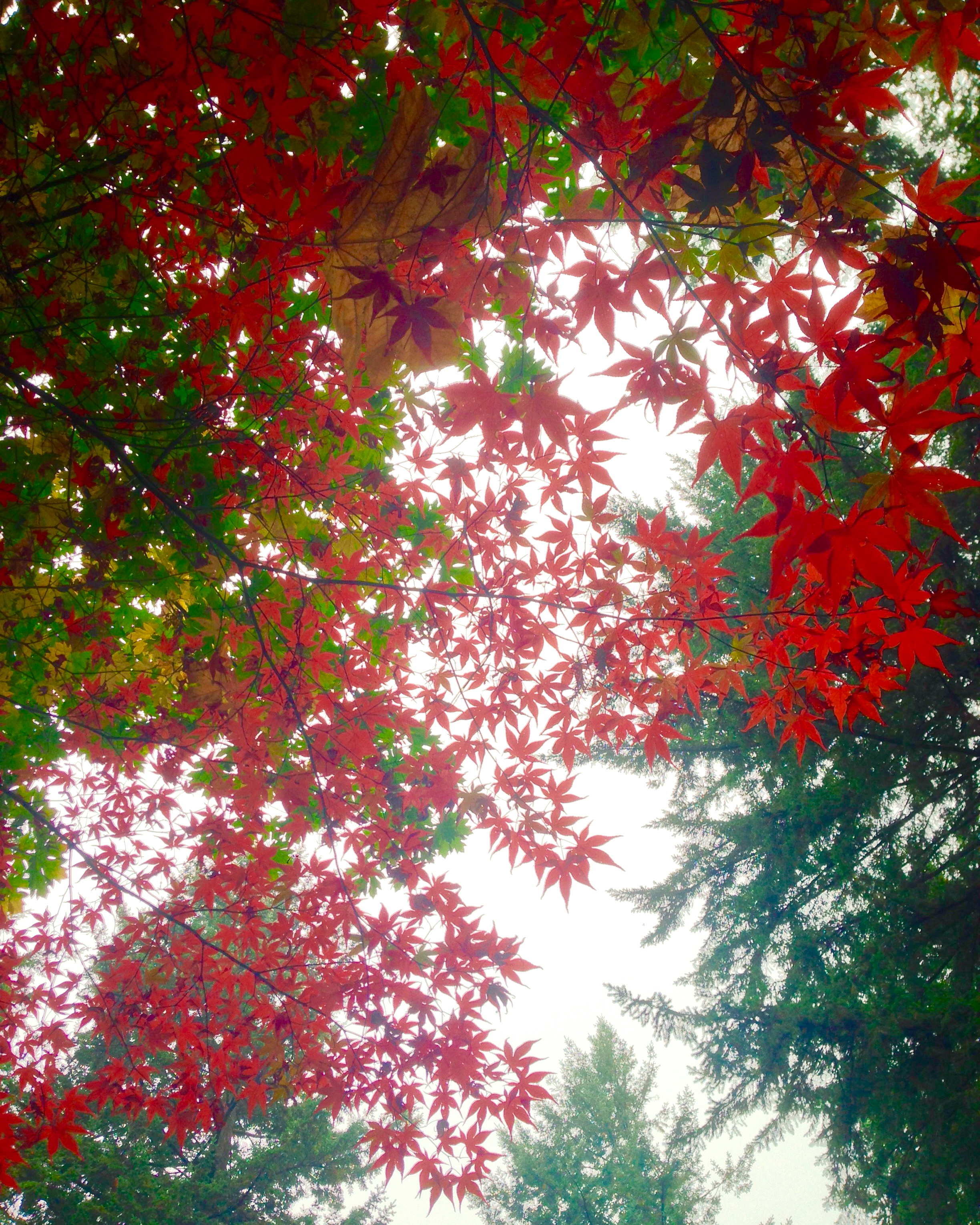 light filters through impossible colors